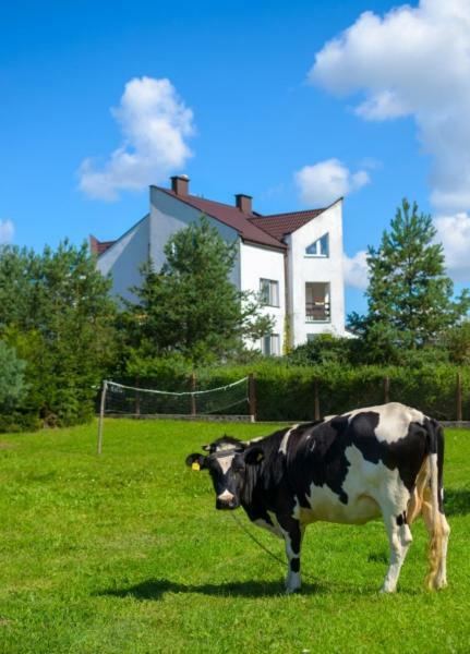 Gospodarstwo Agroturystyczne Jacwing Villa Giby Buitenkant foto